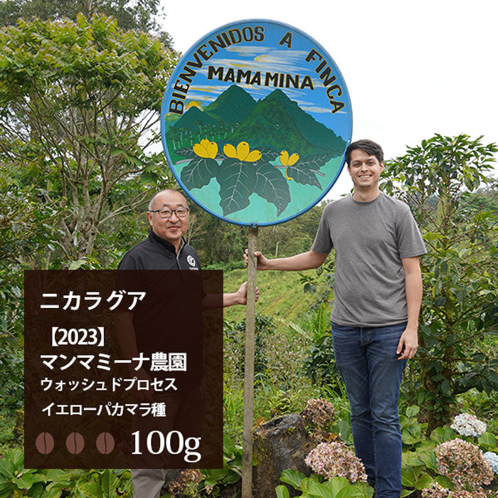 ・【2023】ニカラグア「マンマミーナ農園」ウォッシュドプロセス イエローパカマラ種