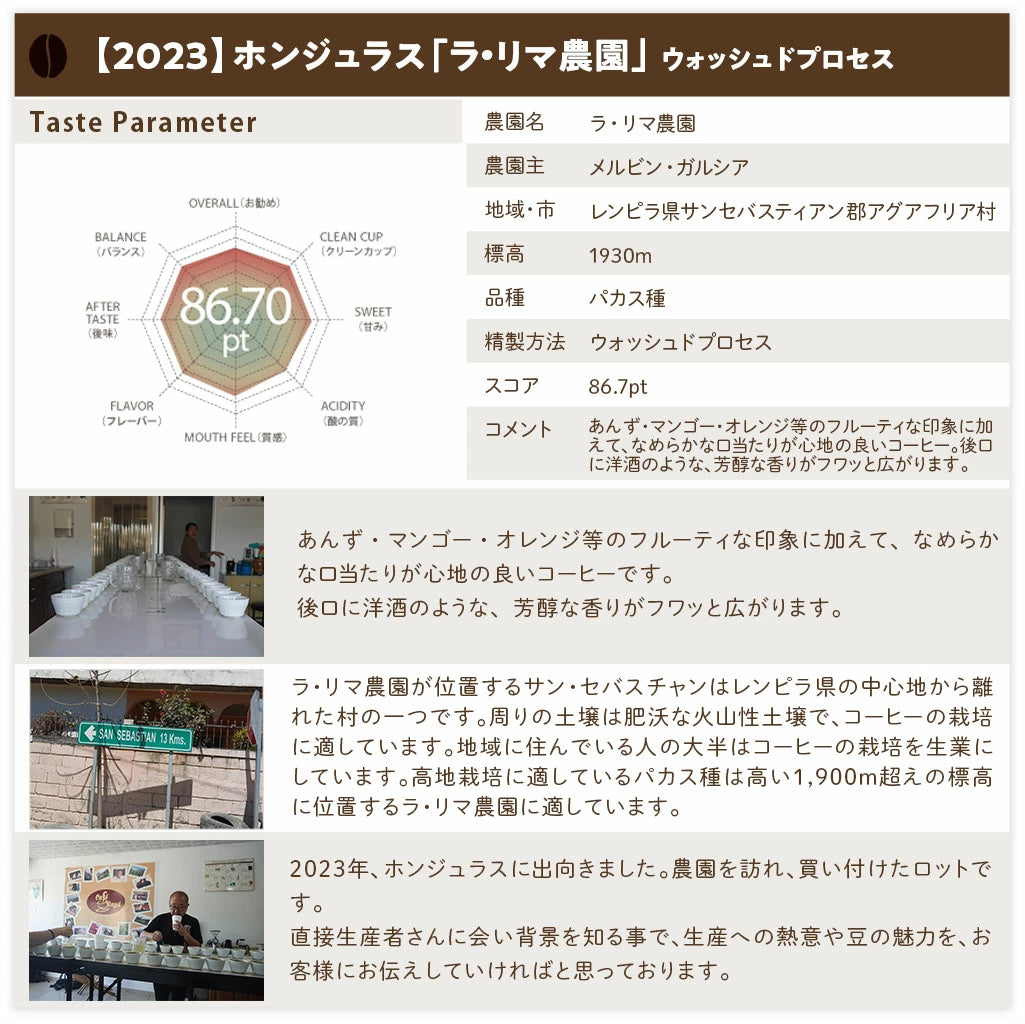 スペシャルティコーヒー シングルオリジンセット【300g×3パック】0.9kg【送料込み】【水曜焙煎】