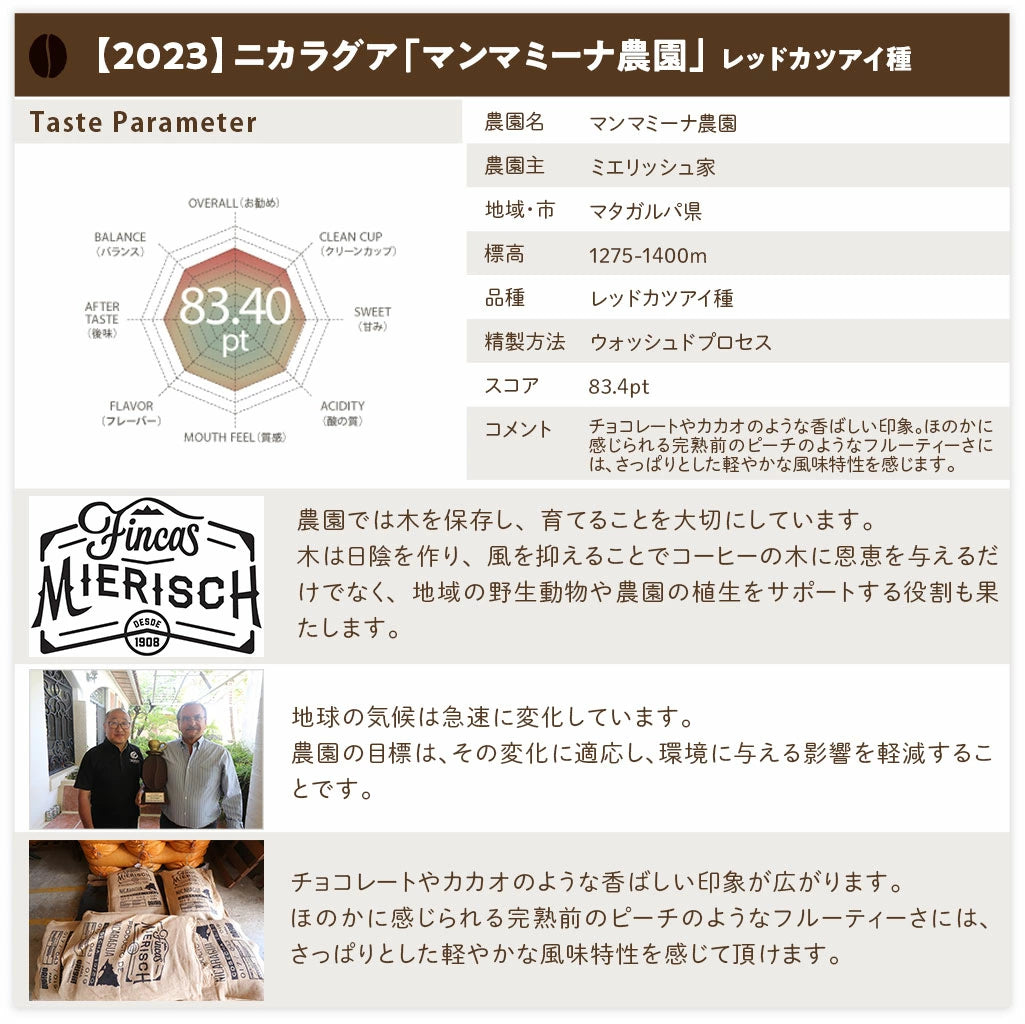 スペシャルティコーヒー シングルオリジンセット【300g×3パック】0.9kg【送料込み】【水曜焙煎】