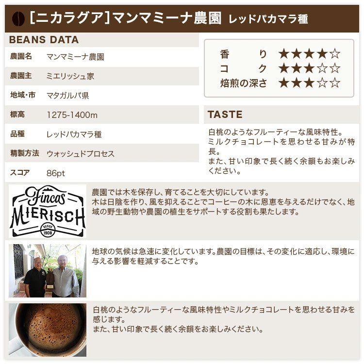 【TJ-100】コーヒーギフト(厳選豆5種500g)【送料込み】