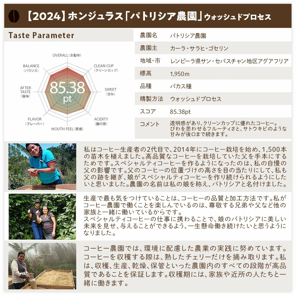 【送料込み】「田代珈琲 季節のお届け~秋~」【4種合計600g】