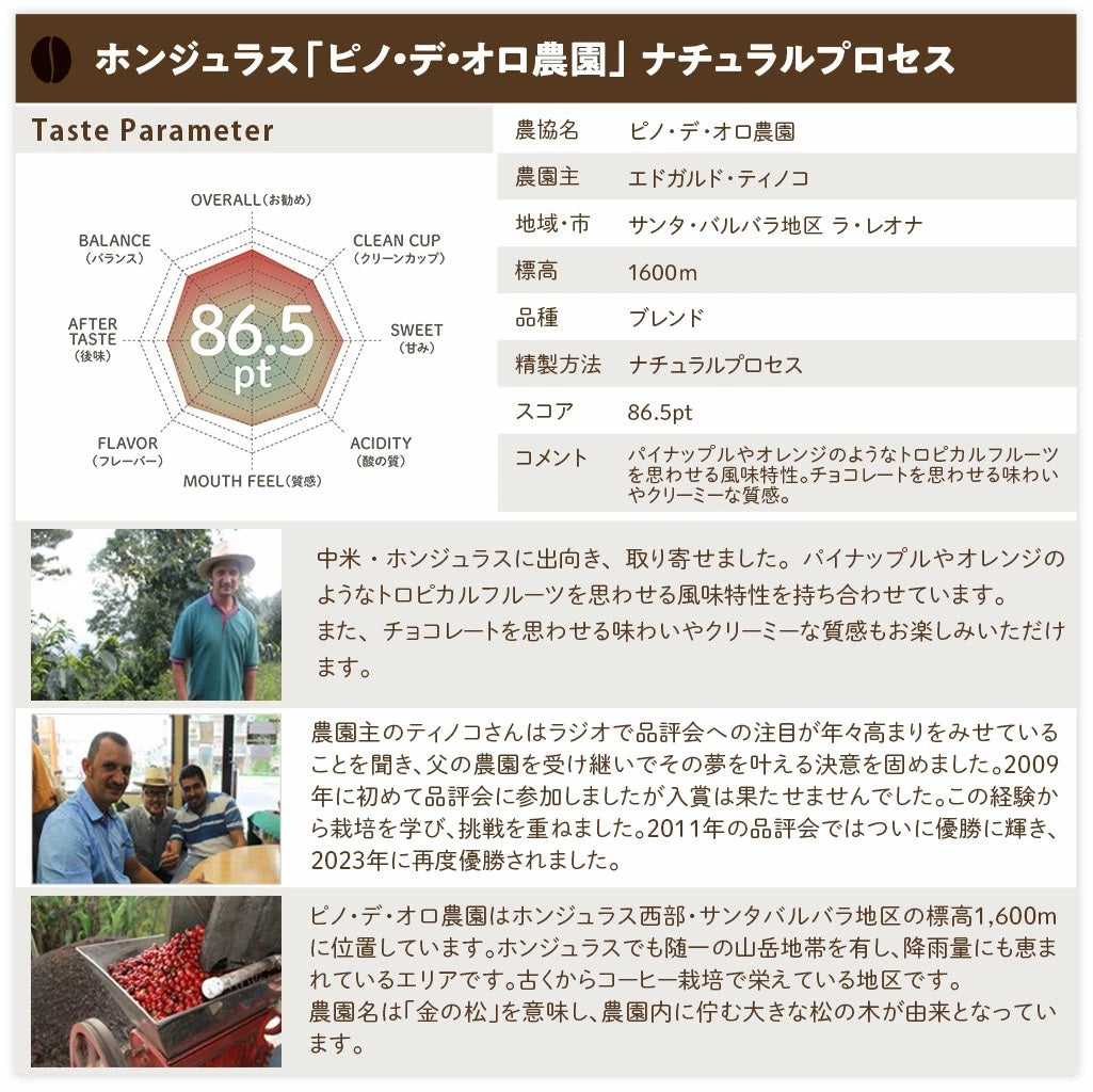 【TJ-60】コーヒーギフト(厳選豆5種500g)【送料込み】