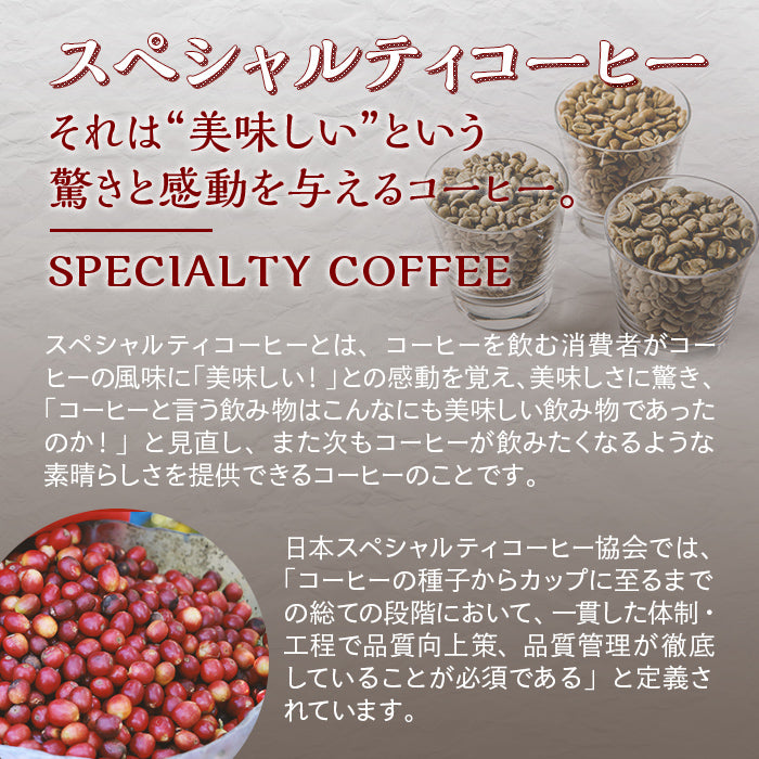 【TL-50】ゲイシャ種使用 瓶リキッドアイスコーヒー 2本入