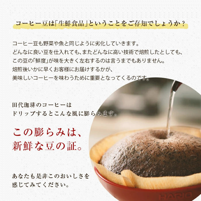 スペシャルティコーヒー シングルオリジンセット【300g×3パック】0.9kg【送料込み】【水曜焙煎】