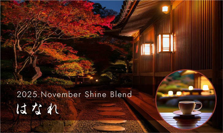 2025年11月ShineBlend「はなれ」