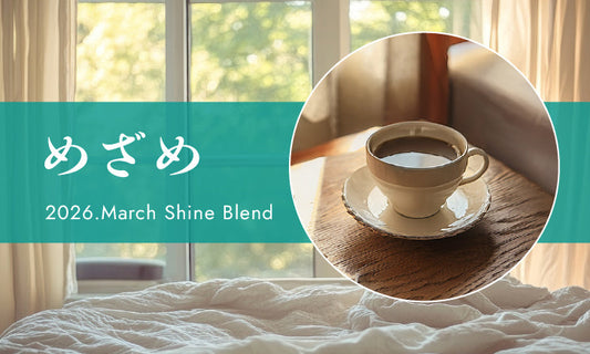 2026年3月ShineBlend「めざめ」