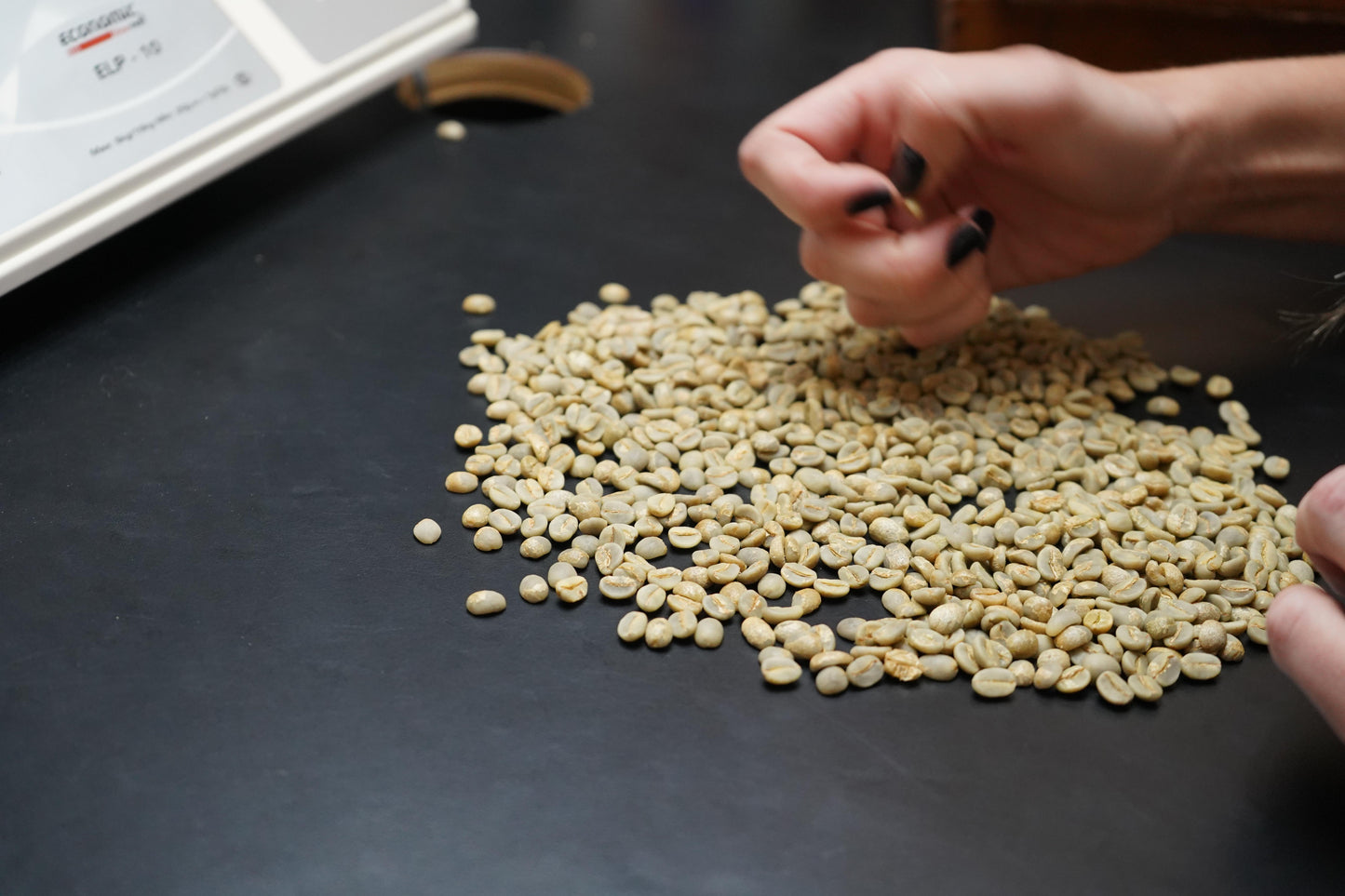 【2024】コロンビア　サンチュアリオプロジェクト　 カンポ・エルモソシリーズ「ゴールドウォッシュド」