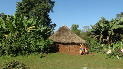 【2024】エチオピアG1 グジ シャキッソ スケ・クト 「ティマ」 ナチュラルプロセス