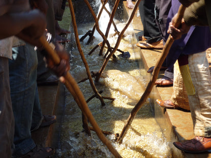 【2024】エチオピアG1 グジ シャキッソ スケ・クト 「ティマ」 ナチュラルプロセス