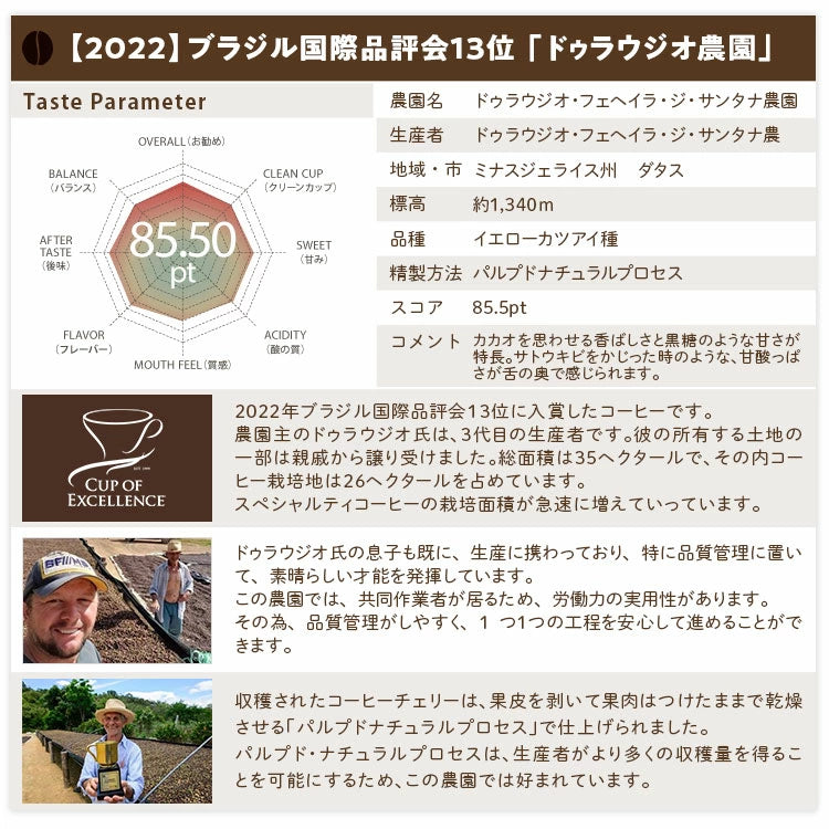 【送料込み】「田代珈琲　季節のお届け～冬～」【4種合計600ｇ】