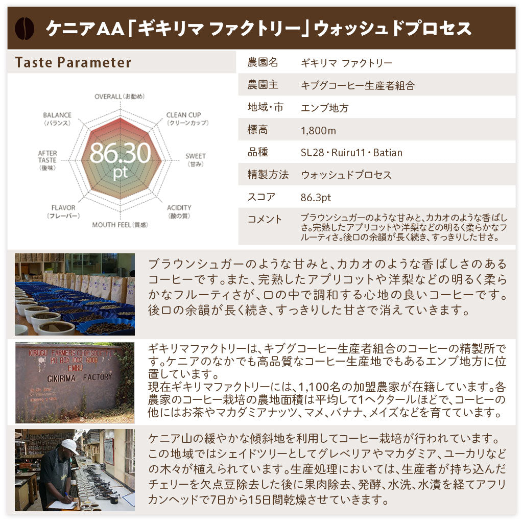 【送料込み】「田代珈琲　季節のお届け～夏～」【4種合計600ｇ】