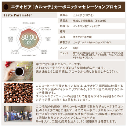 【送料込み】「田代珈琲　季節のお届け～夏～」【4種合計600ｇ】