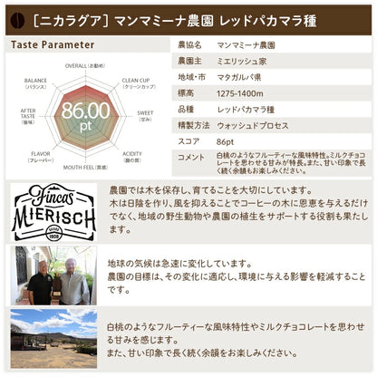 【送料込み】「田代珈琲　季節のお届け～秋～」【4種合計600ｇ】