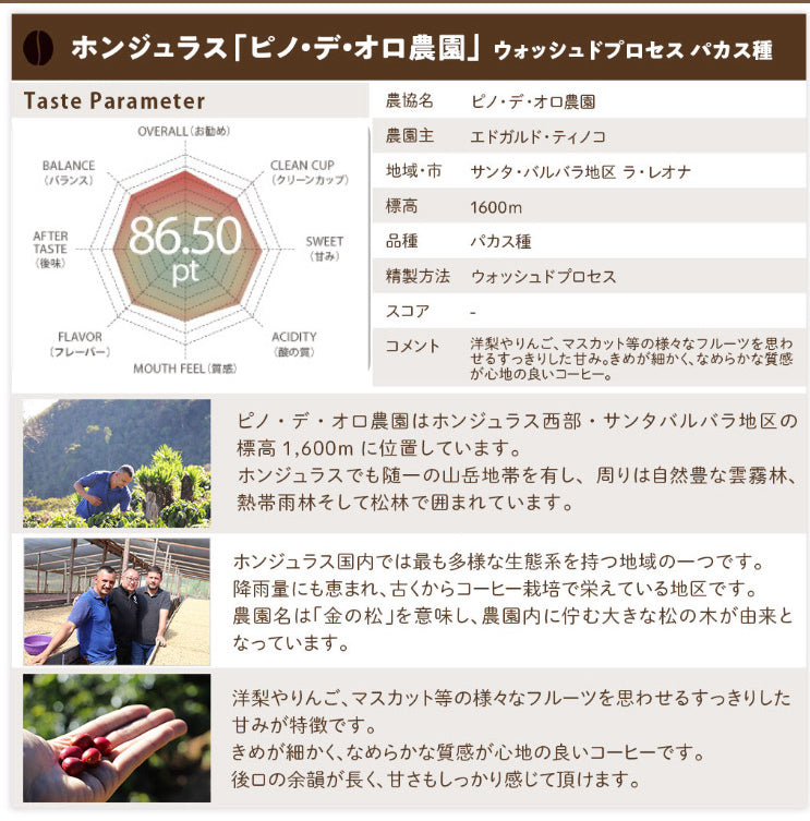 【送料込み】「田代珈琲　季節のお届け～冬～」【4種合計600ｇ】