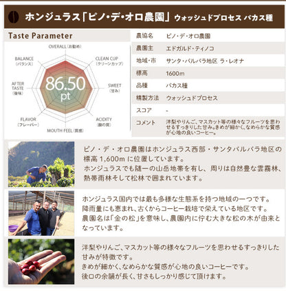 【送料込み】「田代珈琲　季節のお届け～冬～」【4種合計600ｇ】