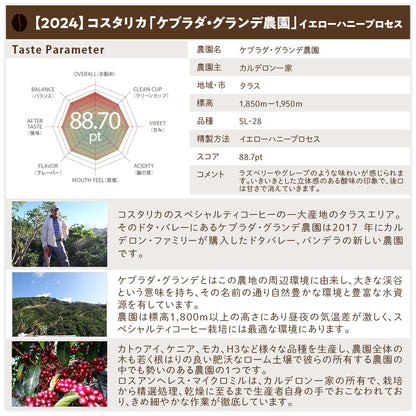 【送料込み】「田代珈琲　季節のお届け～秋～」【4種合計600ｇ】
