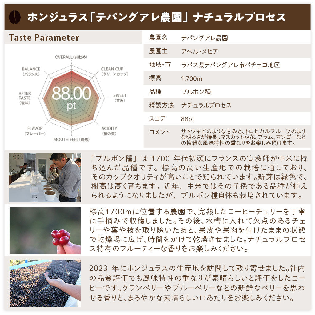 【送料込み】「田代珈琲　季節のお届け～冬～」【4種合計600ｇ】