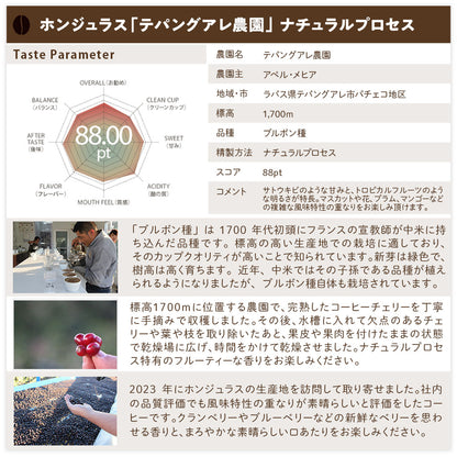 【送料込み】「田代珈琲　季節のお届け～冬～」【4種合計600ｇ】