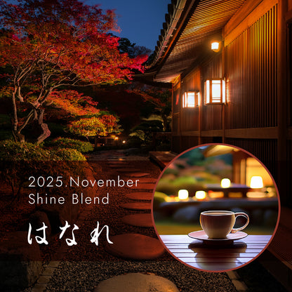 〇2025年11月Shine Blend「はなれ」