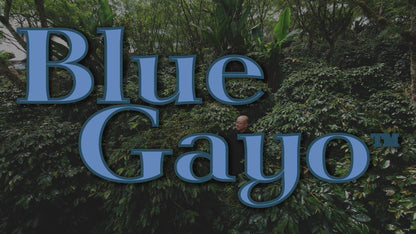 【2023】インドネシア　アチェ　ブルー・ガヨ™　ポンドック・バル「生産者：リシャード」スマトラプロセス　シティロースト